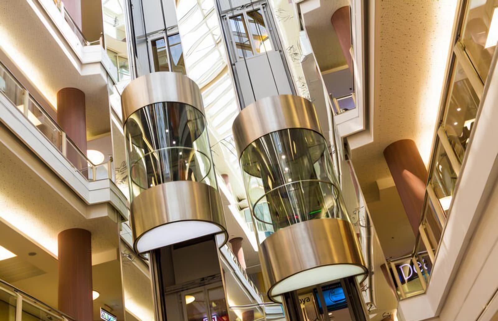 whatsapp image 2025 11 10 at 9.13.08 pm